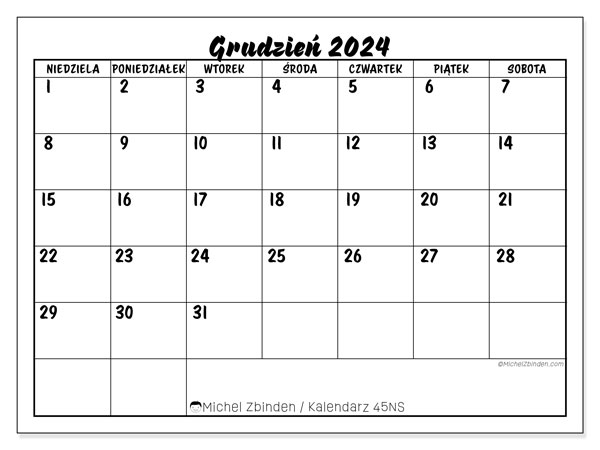 Kalendarz grudzień 2024, 45NS. Darmowy plan do druku.