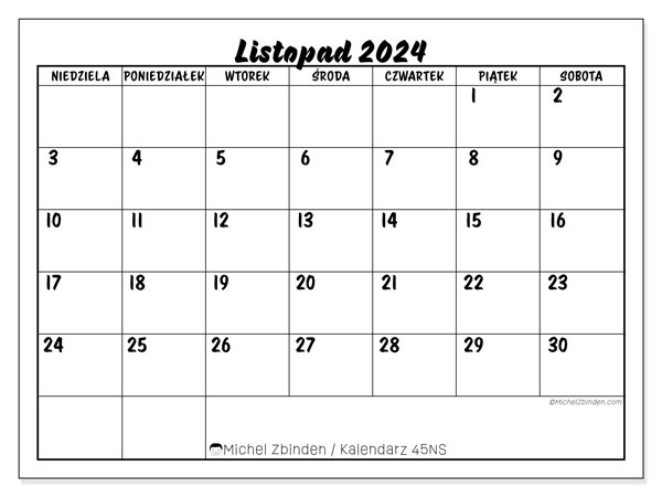 Kalendarz listopad 2024, 45NS. Darmowy terminarz do druku.