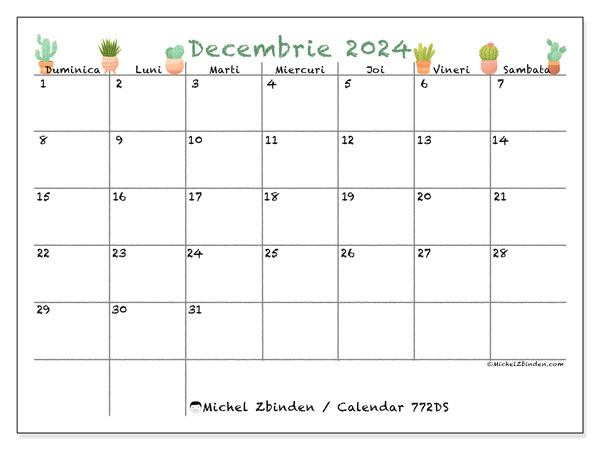 Calendar decembrie 2024, 772DS. Plan pentru imprimare gratuit.