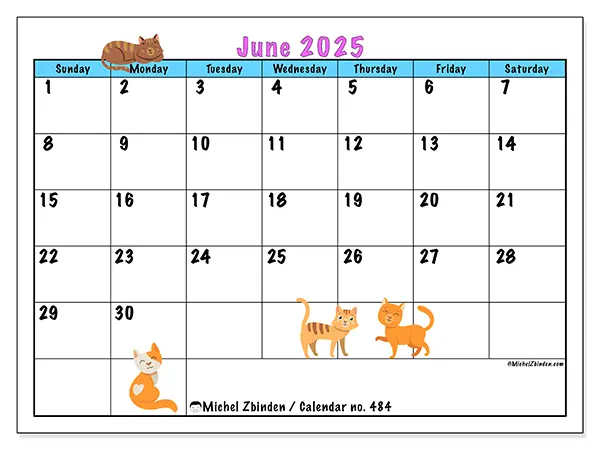 Printable calendar no. 484 for June 2025. Week: Sunday to Saturday.