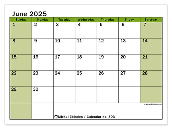 Printable calendar no. 503 for June 2025. Week: Sunday to Saturday.