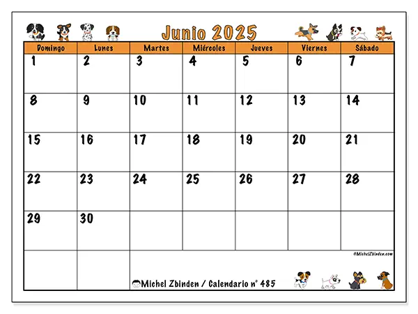 Calendario para imprimir n.° 485 para junio de 2025. Semana: Domingo a sábado.