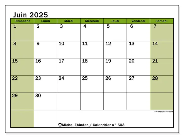 Calendrier à imprimer n° 503 pour juin 2025. Semaine : Dimanche à samedi.