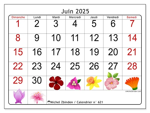 Calendrier à imprimer n° 621 pour juin 2025. Semaine : Dimanche à samedi.
