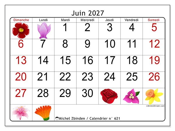 Calendrier juin 2027 à imprimer - Grandes fleurs - Semaine : dimanche à samedi