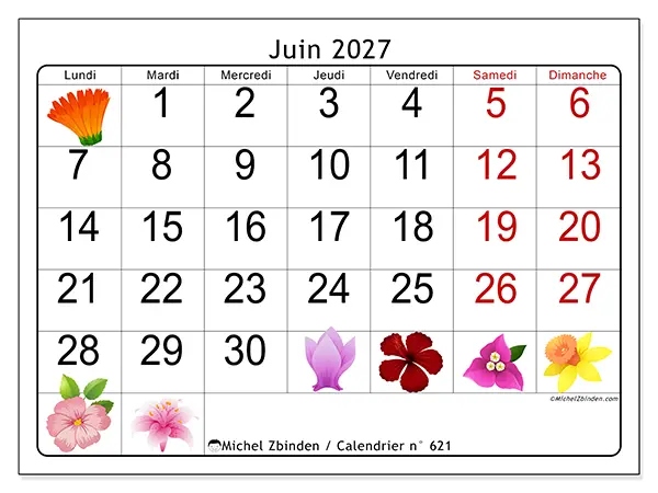 Calendrier juin 2027 à imprimer - Grandes fleurs