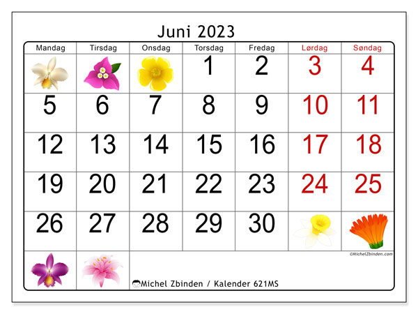 Kalender juni 2023, 621MS. Gratis kalender til print.