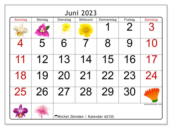 Kalender zum Ausdrucken, Juni 2023, 621SS