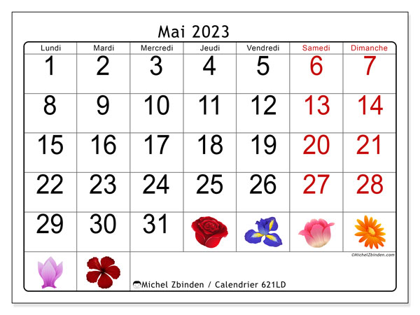 Calendrier mai 2023 à imprimer “621LD”, cédule à imprimer gratuite, style grand format, chiffres bien visibles et illustré avec des fleurs.