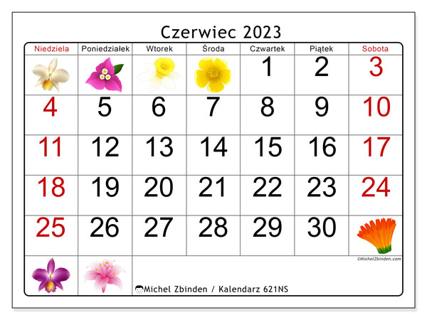 Kalendarz czerwiec 2023, 621NS. Darmowy program do druku.