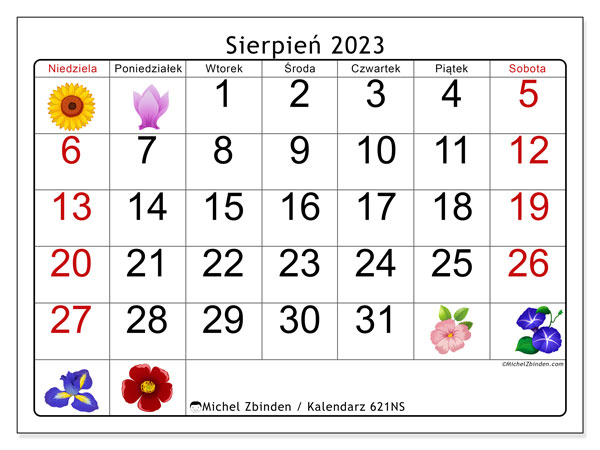 Kalendarz sierpień 2023, 621NS. Darmowy dziennik do druku.