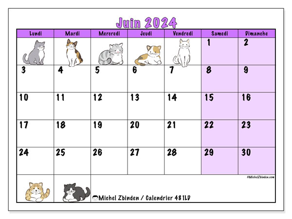 Calendrier juin 2024 “481”. Calendrier à imprimer gratuit.. Lundi à dimanche