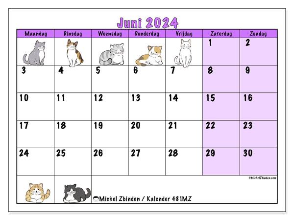 Kalender juni 2024 “481”. Gratis afdrukbaar programma.. Maandag tot zondag