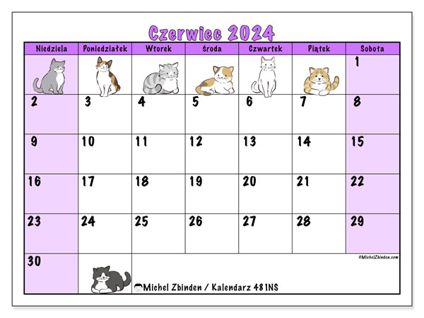 Kalendarz czerwiec 2024 “481”. Darmowy terminarz do druku.. Od niedzieli do soboty