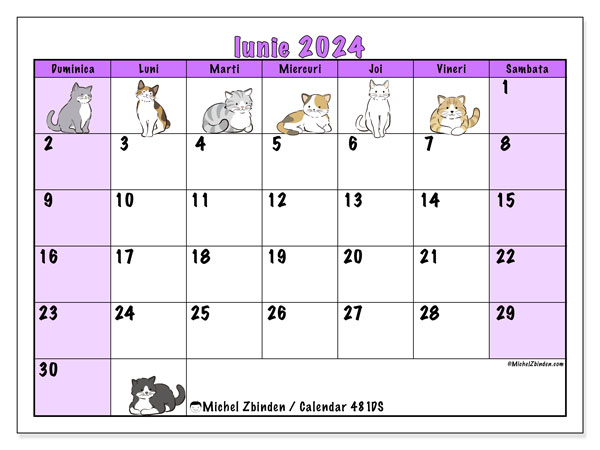 Calendar iunie 2024 “481”. Calendar pentru imprimare gratuit.. Duminică până sâmbătă