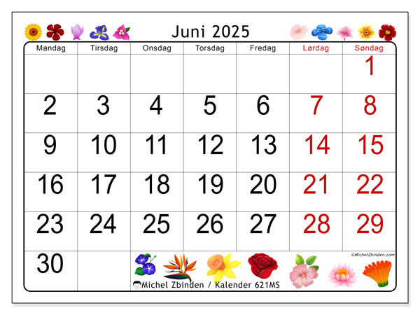 Kalender til udskrivning, juni 2025, 621MS