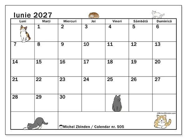 Calendar iunie 2027 de tipărit - Viață de pisică